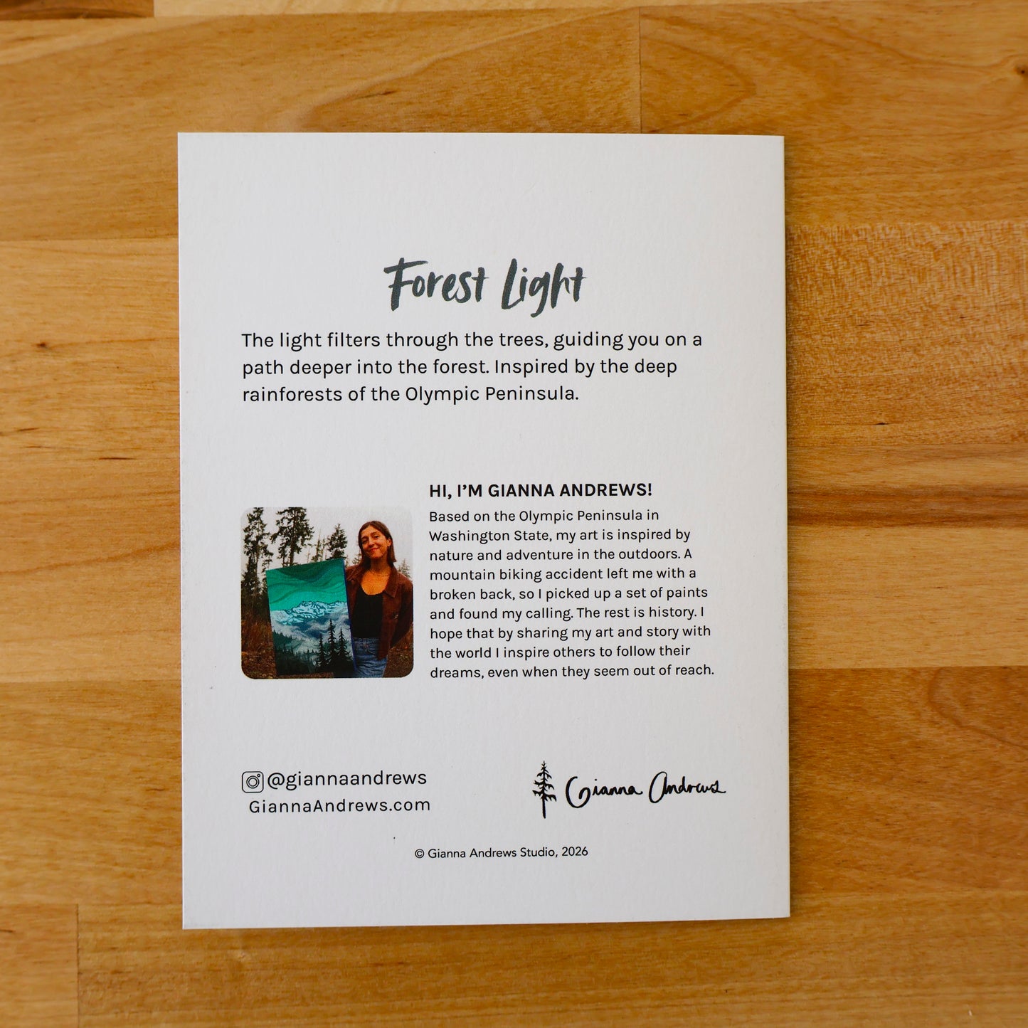 Forest Light Greeting Card