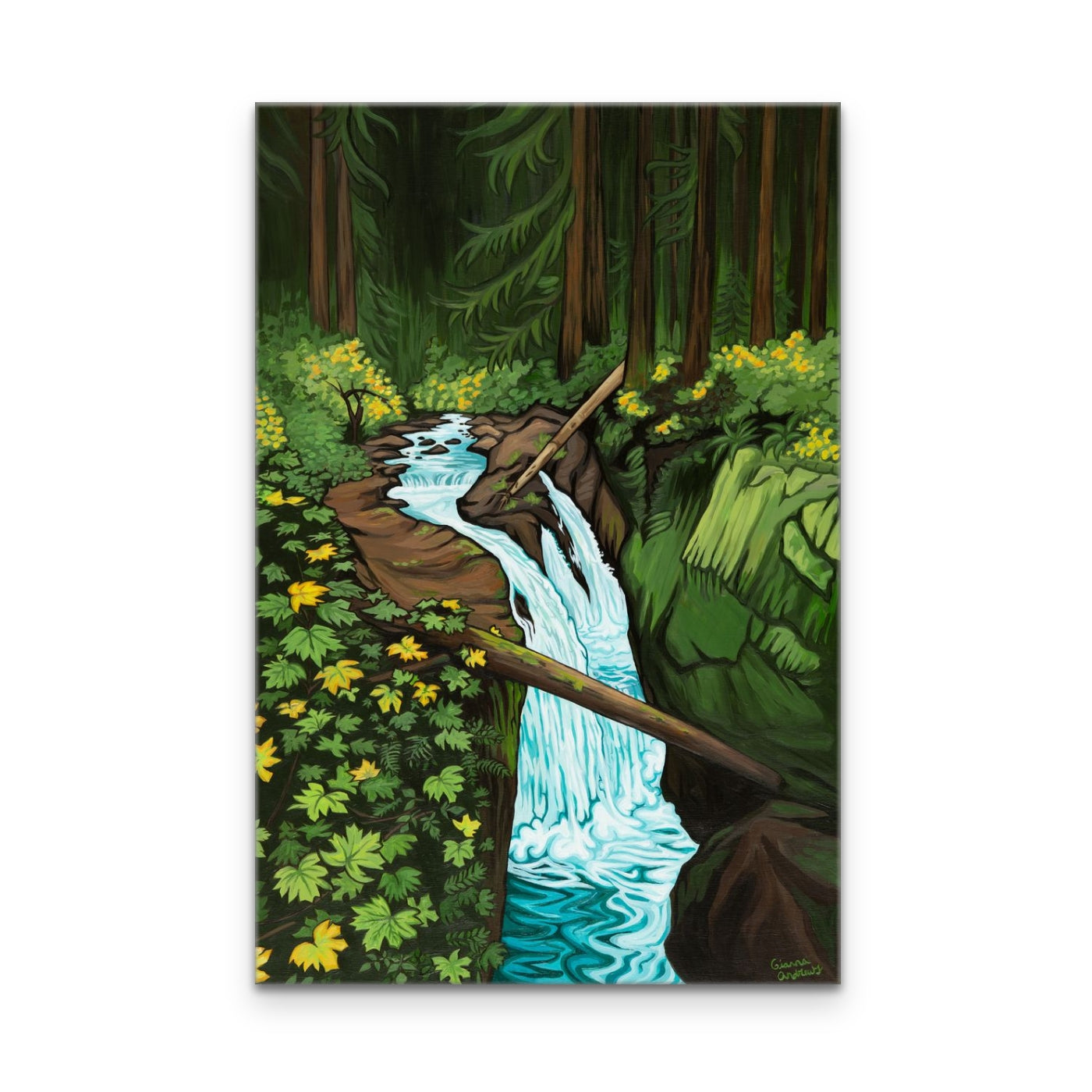 "Sol Duc Falls" Print