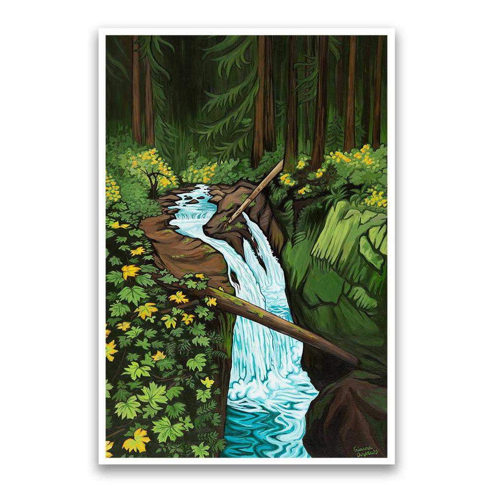 "Sol Duc Falls" Print