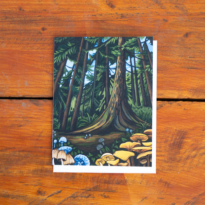 Greeting Card Six Pack