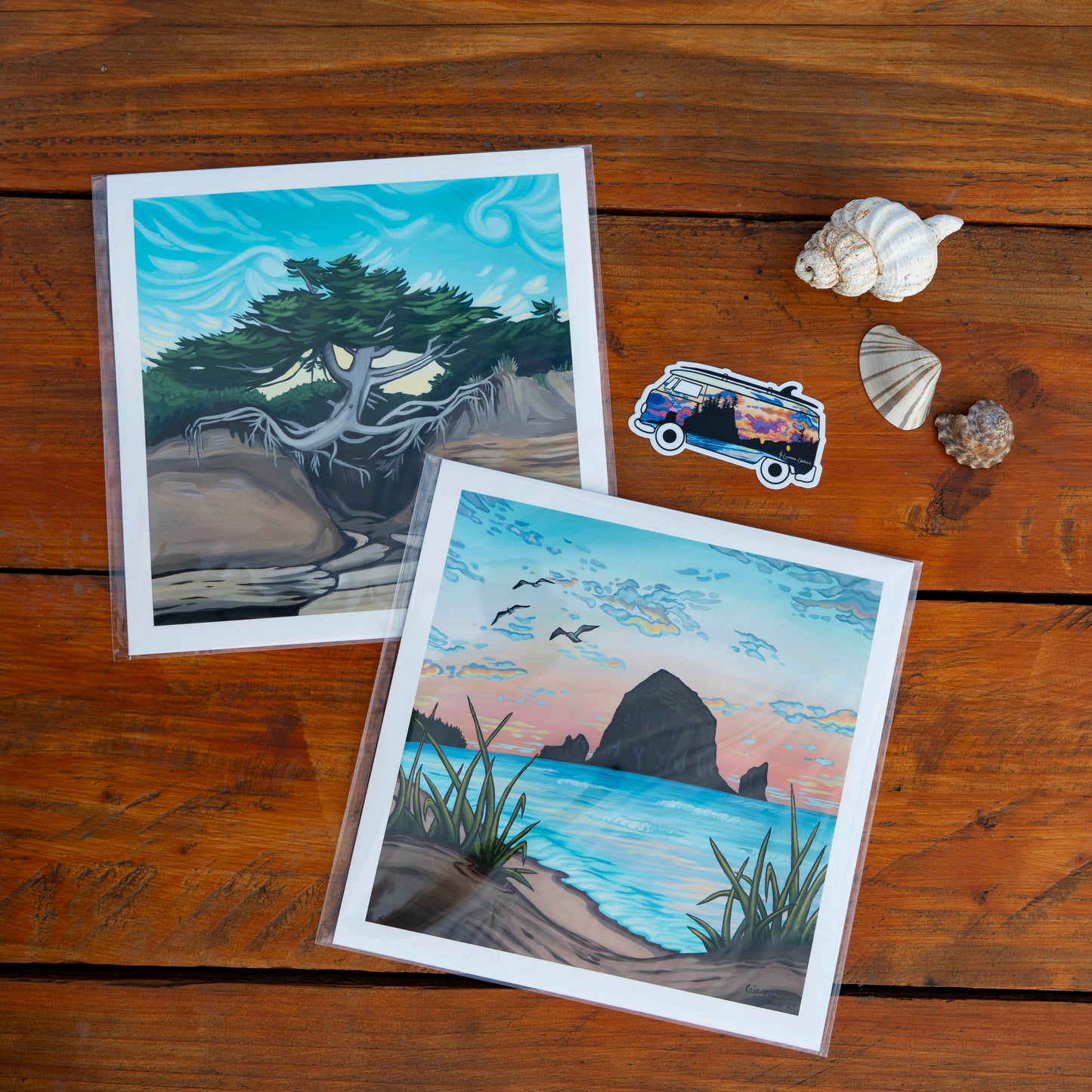 Coastal Cruisin' Bundle