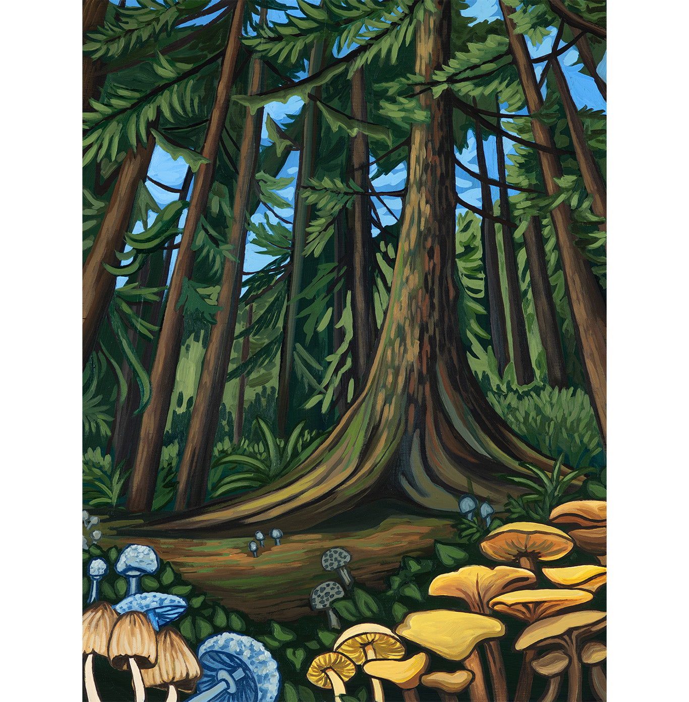 Mushroom Forest