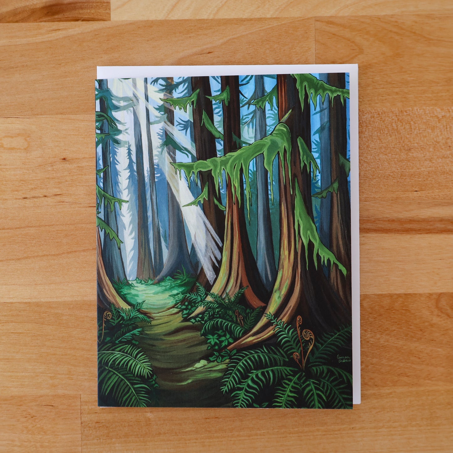 Greeting Card Bundle